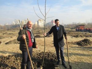Мащабна залесителна акция в „Лаута“