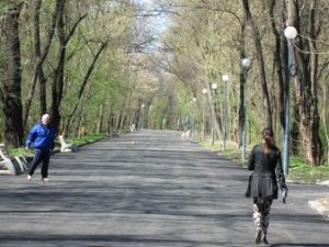 „Лаута“ с преасфалтирана централна алея