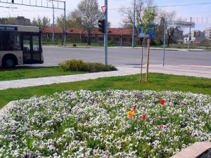 Обновяват поредната светофарна уредба в район Тракия