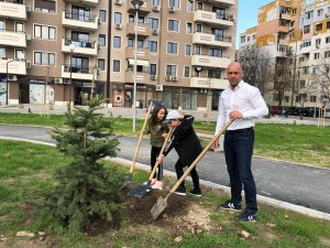 Преместиха Коледната горичка от стълбите на Каменица в новия парк в „Тракия“