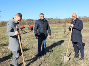 Спортното семейство на Локомотив засади 60 дръвчета в Тракия