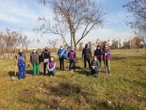 Засадиха дъбова горичка в Тракия